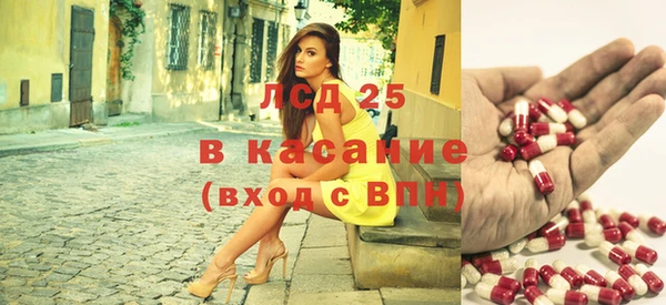скорость Вяземский