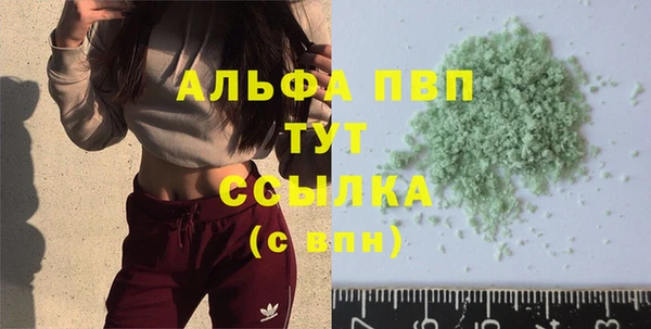 скорость Вяземский