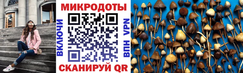 Галлюциногенные грибы Magic Shrooms  Сызрань 